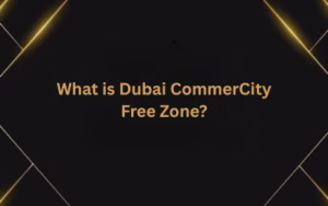 What is Dubai CommerCity Free Zone