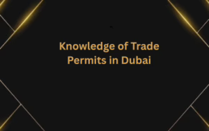 Knowledge of Trade Permits in Dubai