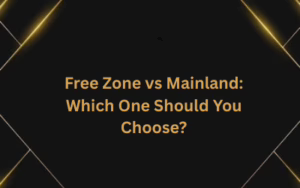 Free Zone vs Mainland: Which One Should You Choose?