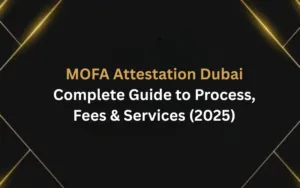 MOFA Attestation Dubai: Complete Guide to Process, Fees & Services (2026)