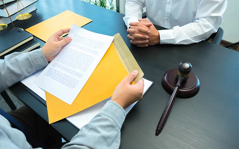 <span>Our Dedicated PRO & </span> Government Liaison Services
