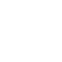Passport Copy