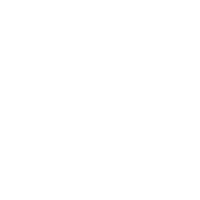 6. Shareholder Agreement
