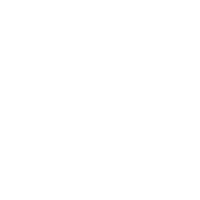 Visa Page Copy  