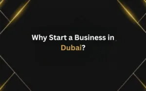 Why Start a Business in Dubai