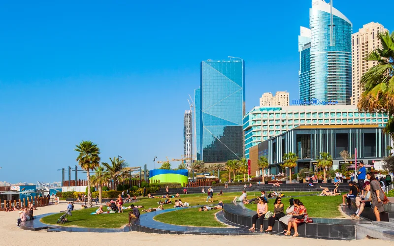 Setting Up A Company in Ajman Free Zone