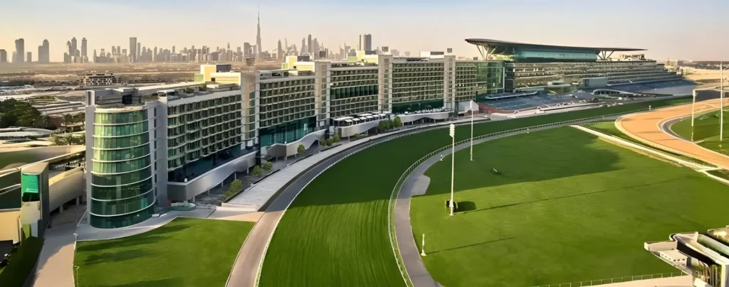 Company Formation in Meydan Free Zone